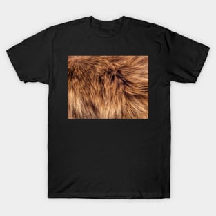 long Fur in brown T-Shirt